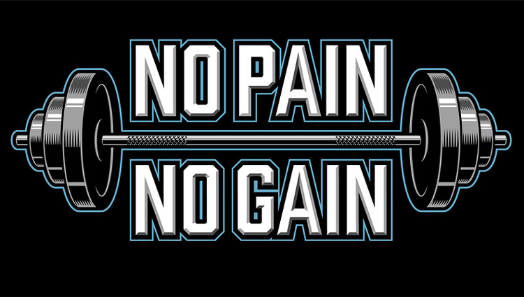 No pain no gain æ„�æ€�